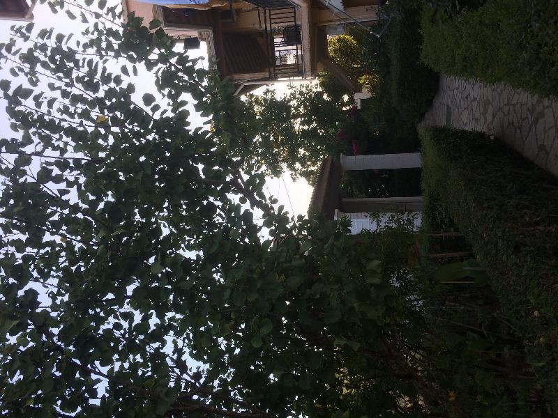 Villa Nefeli Agios Georgios  Exterior photo